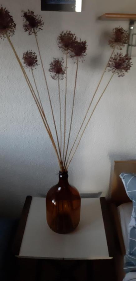 Bamboo Apartman Portorož Dış mekan fotoğraf